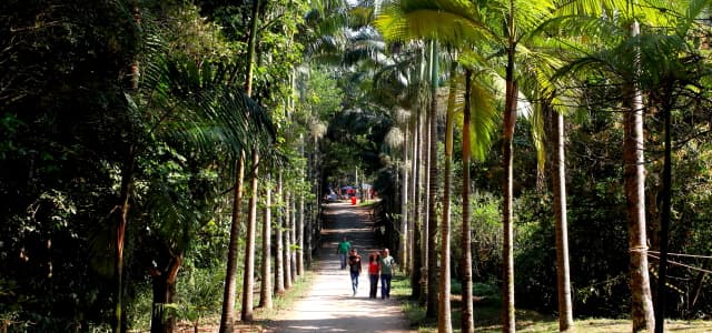 Projeto ‘Férias no Viveiro’ recebeu 750 visitantes no mês de julho
