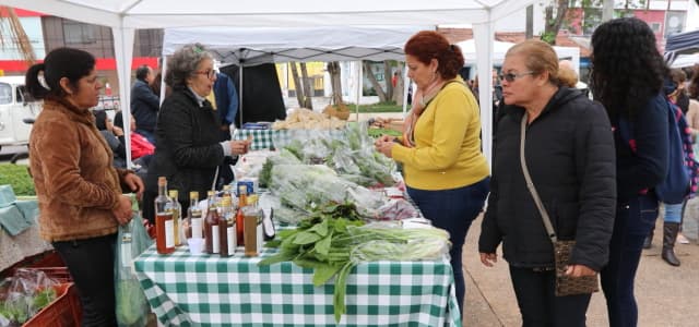 Feira Agroecológica é opção para consumidor