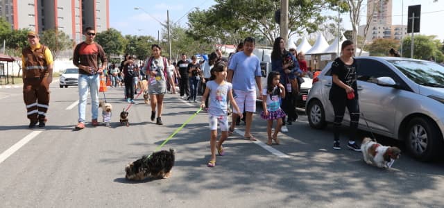 Mais de 400 animais são cadastrados e vacinados durante a ‘1ª Virada Animal’