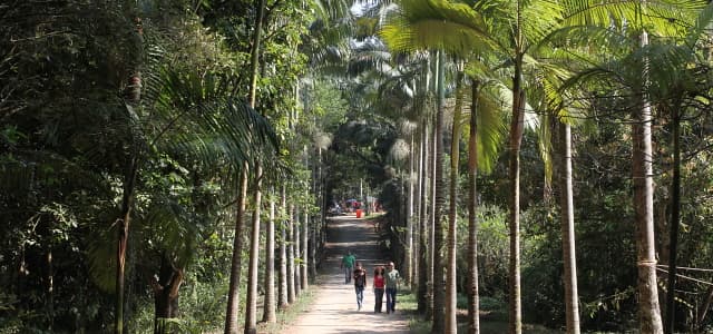 Conscientização da arborização urbana é assunto de palestra no Viveiro