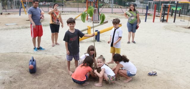 Prefeitura institui política e programa municipal de educação ambiental