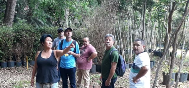 Servidores do Meio Ambiente realizam visita técnica em Viveiro de São Paulo