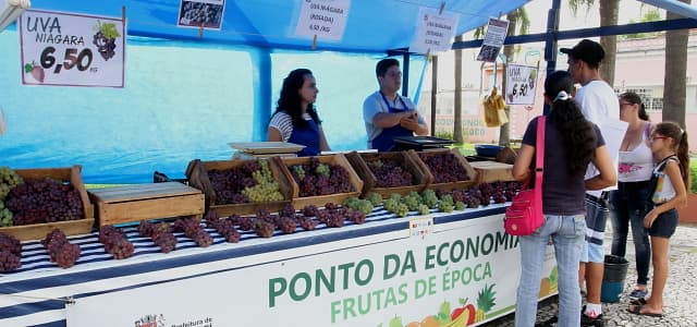 Ponto da Economia retoma atividades com comércio de uvas