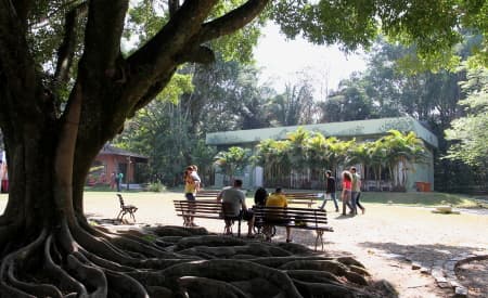 Sábado (29) começa nova turma do curso de Jardinagem