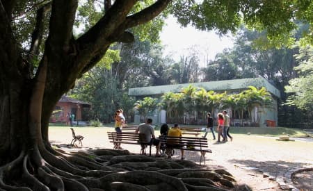 “Sustentabilidade” é tema do Dia Mundial do Meio Ambiente