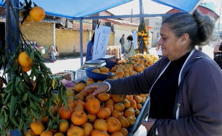 Ponkan é a nova fruta do Ponto da Economia