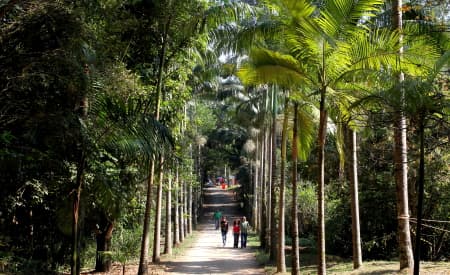 Prefeitura encerra Semana de Meio Ambiente com trilha