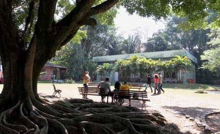 Começa segunda turma do curso de Jardinagem no sábado (17)