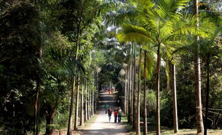 “Viver o Viveiro” acontece neste domingo (24)