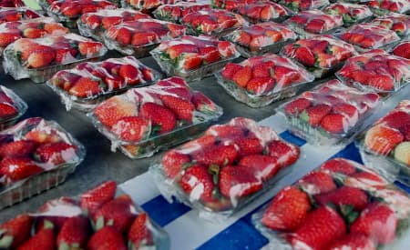 Morango é a nova fruta do ‘Ponto da Economia’