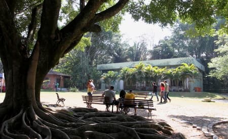 3º Festival da Primavera agitará Viveiro e Parque da Cidade