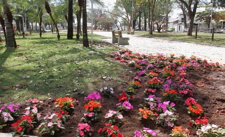 Praça Júlio de Mesquita será entregue totalmente revitalizada