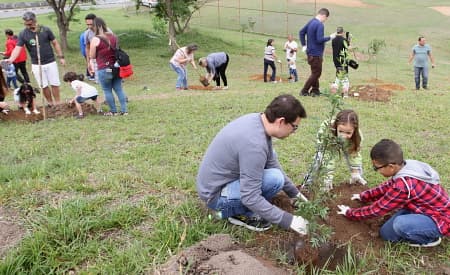 Freudenberg promove plantio de 170 árvores no Jd. Das Indústrias