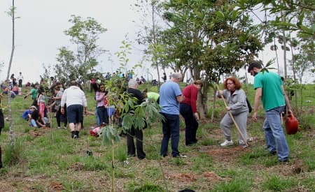 Festival da Primavera inicia com plantio de 150 mudas de árvores