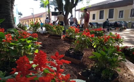 Alunos de Jardinagem revitalizam Praça Raul Chaves