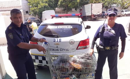 ‘Natal Esperança’ arrecada alimentos para asilos da cidade