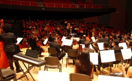 Orquestra Sinfônica Jovem abre processo seletivo para 50 músicos iniciantes em Jacareí