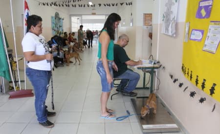 Diretoria de Proteção Animal de Jacareí encerra período de cadastro para castração de cães e gatos, com mais de mil contatos em uma semana