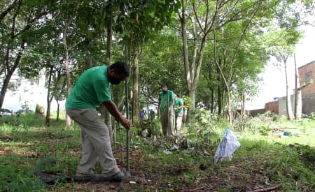 Parque Meia Lua recebe 900 novas mudas de árvores