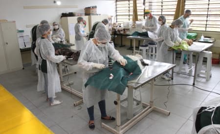 Mutirão de Castração tem 100% de comparecimento pela primeira vez