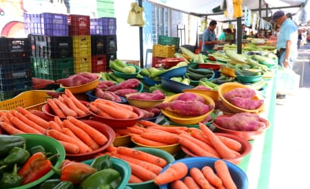 Prefeitura tem 80 vagas abertas para curso de higiene e manipulação de alimentos