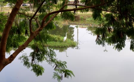 Prefeitura abre licitação para revitalização na lagoa do Califórnia e em área do Didinha