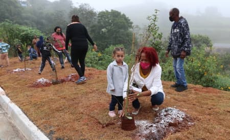 Novas árvores! Prefeitura de Jacareí planta milhares de mudas pela cidade