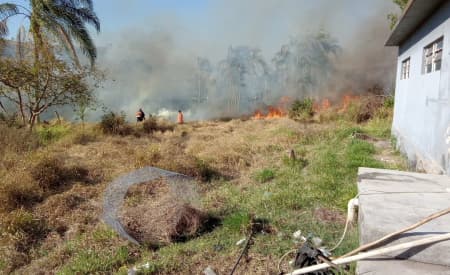 Queimadas: risco ao meio ambiente e à saúde da população
