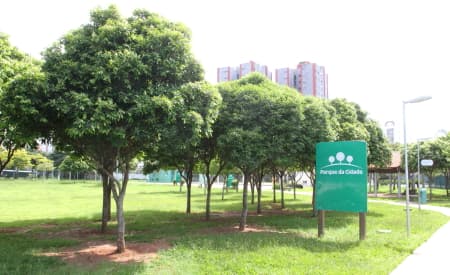 Censo arbóreo mapeia regiões de Jacareí trazendo qualidade do ar, equilíbrio e diversidade ambiental