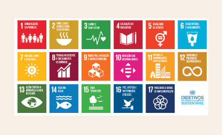 Projeto que estabelece a Agenda 2030 é aprovado pela Câmara