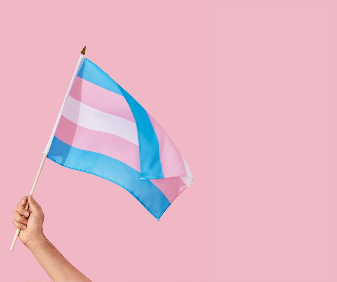 Subsecretaria de Igualdade e Direitos Humanos destaca Dia da Visibilidade Trans