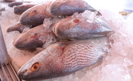 Semana Santa traz ‘Ponto do Pescado’ em seis endereços de Jacareí