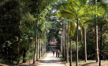 Semana Integrada do Meio Ambiente 2022 começa domingo (5) e oferece mais de 50 atividades