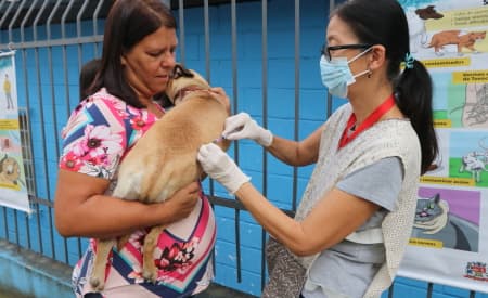 Atenção, donos de pet! Prefeitura de Jacareí realiza vacinação antirrábica para cães e gatos no domingo (8), no Parque da Cidade