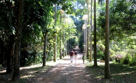 Edição de julho do ‘Viver o Viveiro’ acontece neste domingo (31) e une atividades ecológicas, música ao vivo e espetáculo teatral
