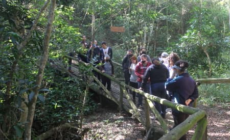 Na Semana da Água, “Viver o Viveiro” tem oficina especial e programação com trilhas e doação de mudas