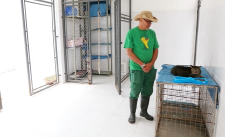 Diretoria de Proteção Animal de Jacareí comunica sobre seu funcionamento durante o recesso municipal e divulga telefones úteis