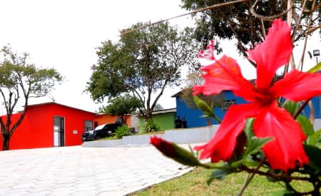Novo Abrigo de Animais é inaugurado, em Jacareí