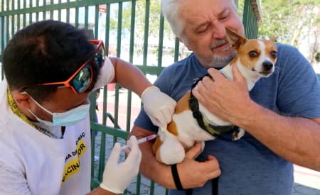 Prefeitura de Jacareí promove vacinação antirrábica para cães e gatos no sábado (3) e domingo (4)