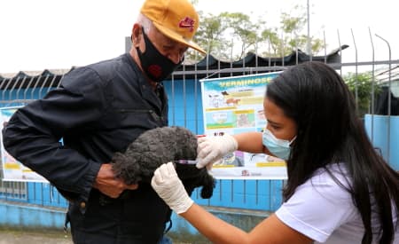 Atenção, donos de pet! Prefeitura de Jacareí realizará vacinação antirrábica para cães e gatos no sábado (26), no Cidade Salvador