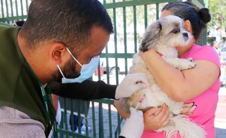 Proteja seu Pet! Vacinação Antirrábica gratuita para cães e gatos neste domingo (16), no Parque da Cidade