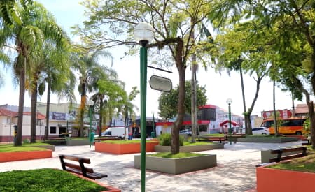 Prefeitura de Jacareí inicia consulta pública sobre o Plano Municipal de Arborização Urbana. Participe!