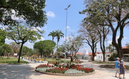 Audiência pública sobre o Plano Municipal de Arborização Urbana será realizada na quinta-feira (6), na Câmara de Jacareí