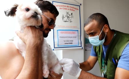 Prefeitura de Jacareí realiza vacinação antirrábica para cães e gatos no sábado (5) e domingo (6)