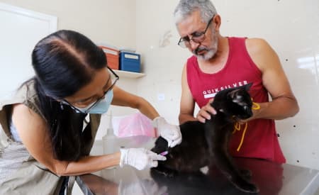 Proteja a saúde do seu pet! Agenda de vacinação antirrábica de cães e gatos já está aberta no aplicativo Fast Cidadão