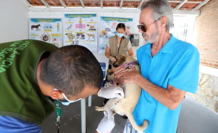 Prefeitura de Jacareí promove vacinação antirrábica para cães e gatos no sábado (6) e domingo (7)