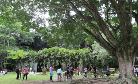 31ª edição do “Diálogos ProMEA em Ação” acontece nesta terça-feira (25), com os temas “Águas e Florestas” e “Queimadas Rurais e Urbanas”