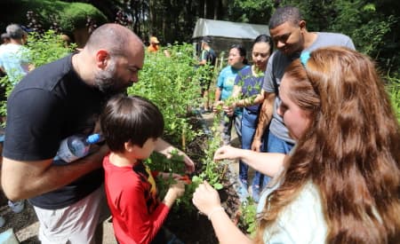 ‘Viver o Viveiro’ acontece neste domingo (30) com uma programação diversa para todos os públicos