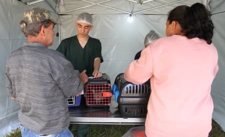 Prefeitura de Jacareí realiza microchipagem em pets e emissão de Registro Geral de Animal, durante evento de adoção no Jardim Santa Maria, neste sábado (3)