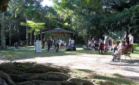 Viveiro Municipal de Jacareí passa a abrir todo domingo